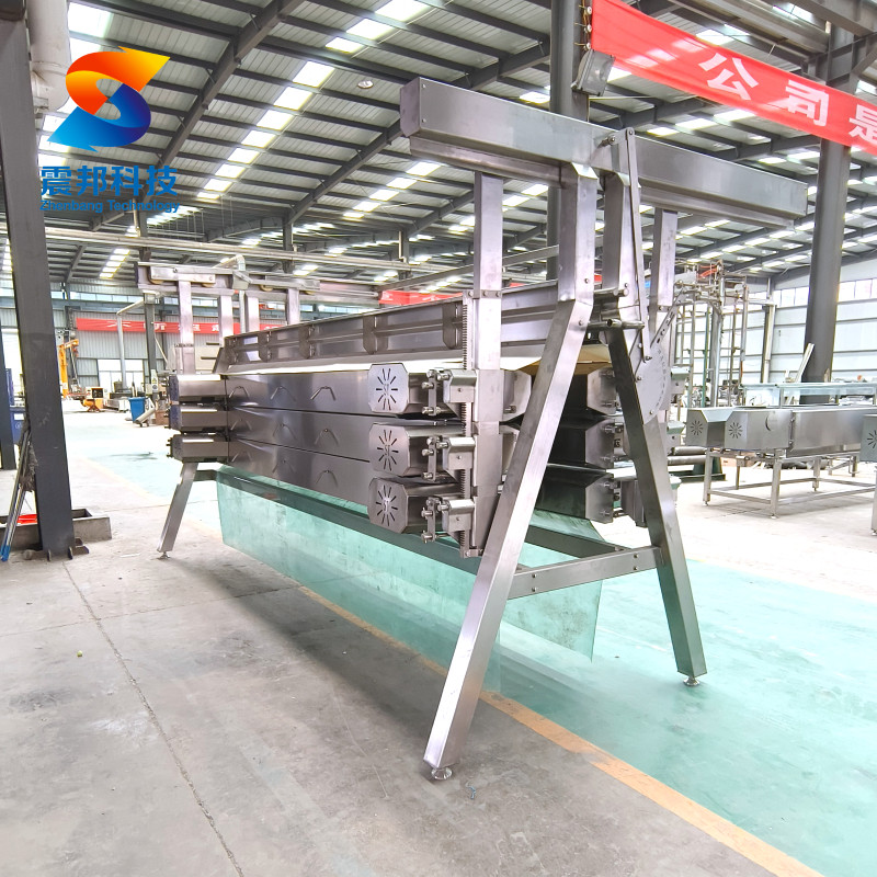 Professional Chicken, Duck and Goose Defeathering Machines for Modern Poultry Processing